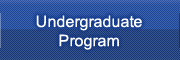 Undergraduate Program