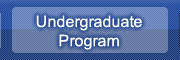 Undergraduate Program