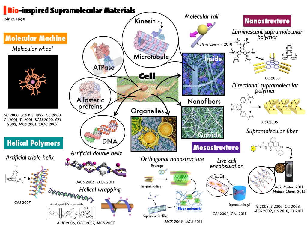 Bioinspired.jpg